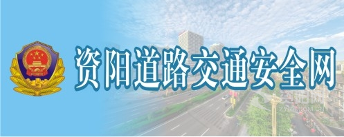 抽逼穴资阳道路交通安全网